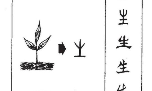 众生祛湿颗粒吃多久能见效-众生 清热祛湿颗粒20袋网- 众生清热祛湿颗粒的功效与作用知识,分享众生清热去湿颗粒