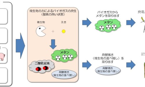 众生 清热祛湿颗粒20袋网- 众生清热祛湿颗粒的功效与作用知识,分享众生清热去湿颗粒