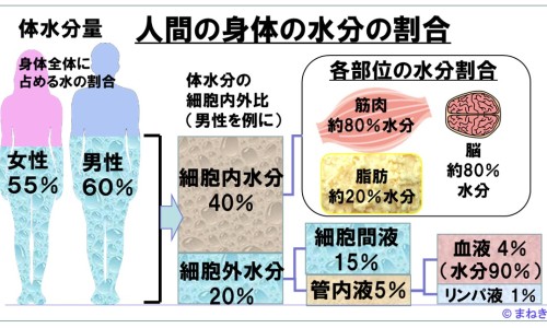 众生清热祛湿颗粒价格-众生 清热祛湿颗粒20袋网- 众生清热祛湿颗粒的功效与作用知识,分享众生清热去湿颗粒